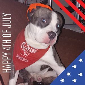 Meet your Posher, Dana